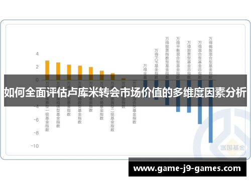 如何全面评估卢库米转会市场价值的多维度因素分析