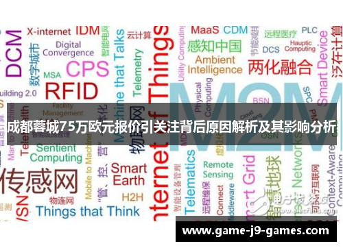 成都蓉城75万欧元报价引关注背后原因解析及其影响分析