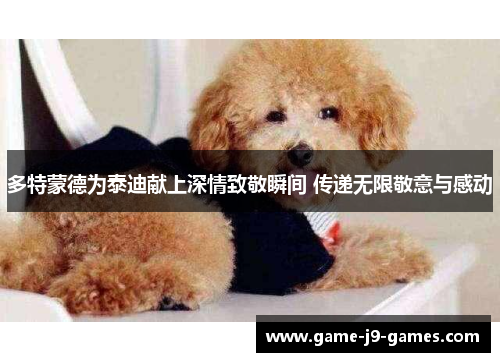 多特蒙德为泰迪献上深情致敬瞬间 传递无限敬意与感动 多特蒙德为泰迪献上深情致敬瞬间 传递无限敬意与感动