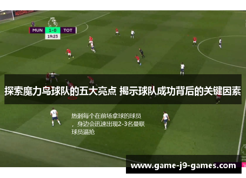 探索魔力鸟球队的五大亮点 揭示球队成功背后的关键因素